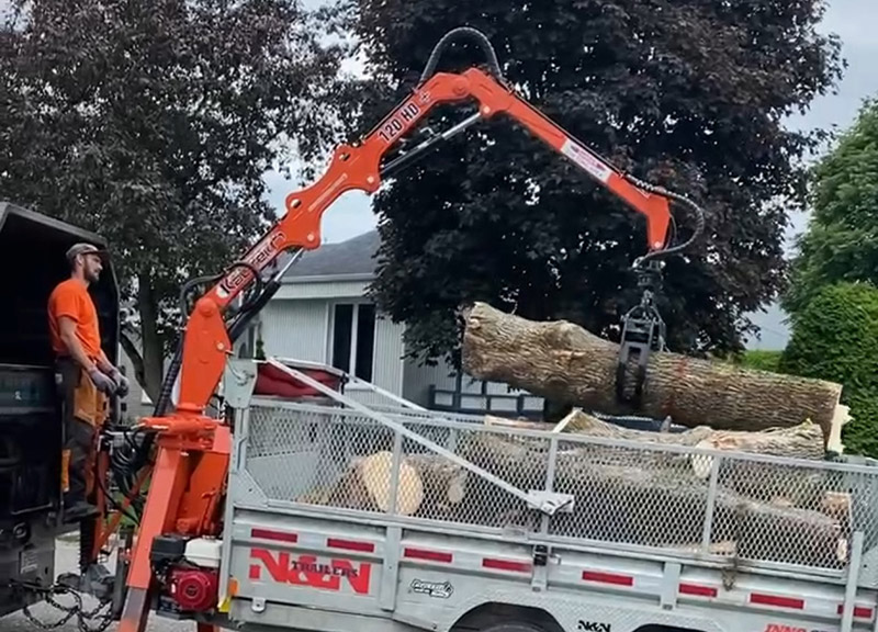 Ramassage de bois à Québec